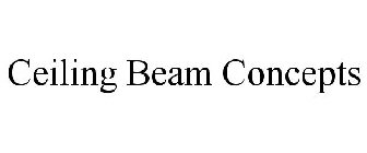 CEILING BEAM CONCEPTS