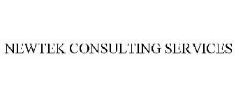 NEWTEK CONSULTING SERVICES
