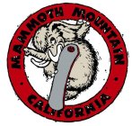 MAMMOTH MOUNTAIN CALIFORNIA