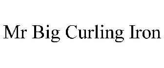 MR BIG CURLING IRON