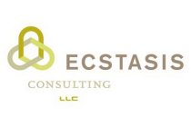 UUU ECSTASIS CONSULTING LLC