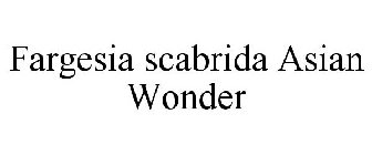 FARGESIA SCABRIDA ASIAN WONDER