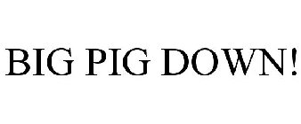 BIG PIG DOWN!