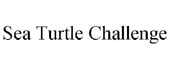 SEA TURTLE CHALLENGE