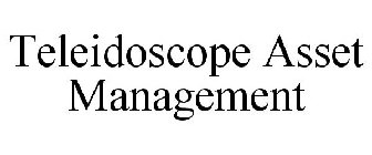 TELEIDOSCOPE ASSET MANAGEMENT