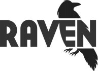 RAVEN