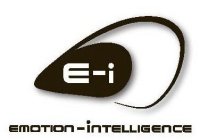 E-I EMOTION-INTELLIGENCE