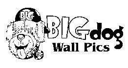 BIGDOG WALL PICS BIG BIG