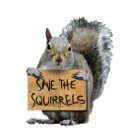 SAVE THE SQUIRRELS