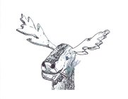 Image Trademark