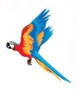 Image Trademark