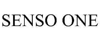 SENSO ONE