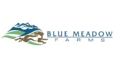 BLUE MEADOW FARMS