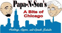 PAPA-N-SON'S A BITE OF CHICAGO HOTDOGS, GYROS, AND GREEK SALADS