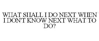 WHAT SHALL I DO NEXT WHEN I DON'T KNOW NEXT WHAT TO DO?