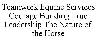 TEAMWORK EQUINE SERVICES COURAGE BUILDING TRUE LEADERSHIP THE NATURE OF THE HORSE