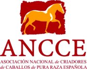 ANCCE ASOCIACIÓN NACIONAL DE CRIADORES DE CABALLOS DE PURA RAZA ESPAÑOLA