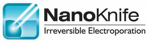NANOKNIFE IRREVERSIBLE ELECTROPORATION