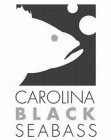 CAROLINA BLACK SEABASS