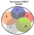 THE HUMAN CABLE SYSTEM C A B L E