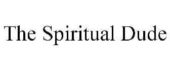 THE SPIRITUAL DUDE