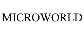 MICROWORLD