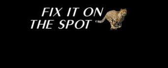 FIX IT ON THE SPOT