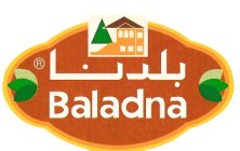 BALADNA FOODS