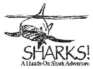SHARKS! A HANDS-ON SHARK ADVENTURE