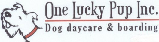 ONE LUCKY PUP INC. DOG DAYCARE & BOARDING