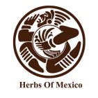 HERBS OF MEXICO