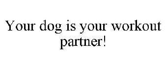 YOUR DOG IS YOUR WORKOUT PARTNER!