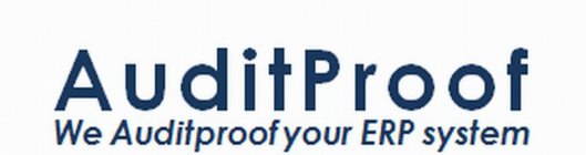 AUDITPROOF WE AUDITPROOF YOUR ERP SYSTEM