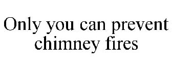 ONLY YOU CAN PREVENT CHIMNEY FIRES