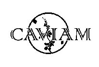CAVIAM