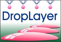 DROP LAYER