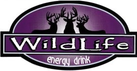 WILDLIFE ENERGY DRINK