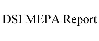 DSI MEPA REPORT