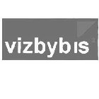 VIZBYBIS2