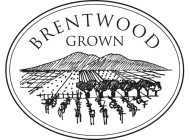 BRENTWOOD GROWN