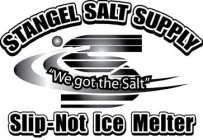 S STANGEL SALT SUPPLY 