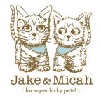 JAKE & MICAH :: FOR SUPER LUCKY PETS! ::