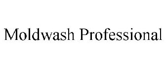 MOLDWASH PROFESSIONAL