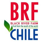 BRF BLACK RIVER FARM FRUIT FROM THE SOUTH OF THE WORLD CHILE