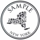 SAMPLE NEW YORK