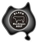 BLACK MACANGUS BEEF