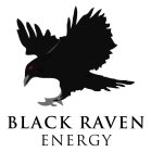 BLACK RAVEN ENERGY