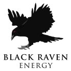 BLACK RAVEN ENERGY