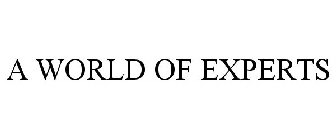 A WORLD OF EXPERTS