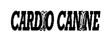 CARDIO CANINE